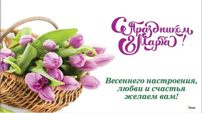 Открытки открытки с тюльпанами на 8 марта красивые открытки с тюльп...