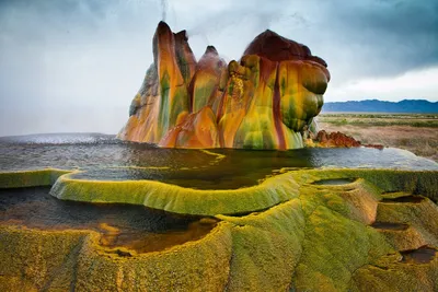 Самые необычные улицы мира. Где искать красивые аллеи для фото