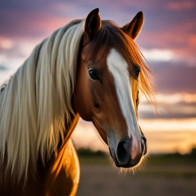 Красивый конь с длинной гривой, …» — создано в Шедевруме