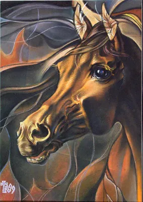 Голова коня (33 фото) | Лошадь обои, Фотографии лошадей, Красивые лошади