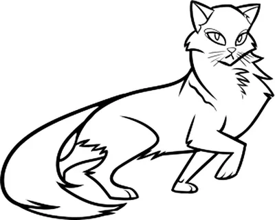 Рисунки Коты-воители для срисовки карандашом