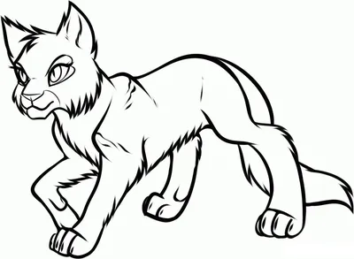 Рисунки Коты-Воители для срисовки