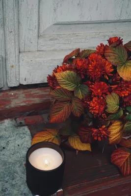 Осень, Autumn◽️ | Осень, Обои, Флорист