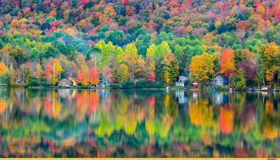 Природа, Осень - Красивые фото обои для рабочего стола комп. windows #56