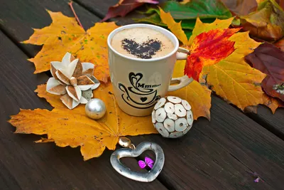 Кофе Осень Листья - Бесплатное фото на Pixabay - Pixabay