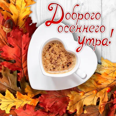На фоне Reddishblue белая чашка кофе и красивые разноцветные кленовые  листы. Концепция осени. Доброе утро Стоковое Фото - изображение  насчитывающей красивейшее, листья: 198926410
