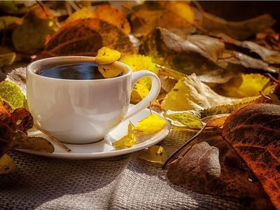 Осень кофе - красивые фото