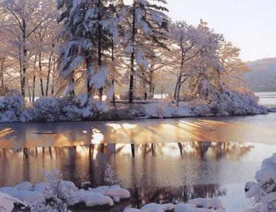 красивые зимние пейзажи желтоватый эмбиент, зима, снег, лес фон картинки и  Фото для бесплатной загрузки