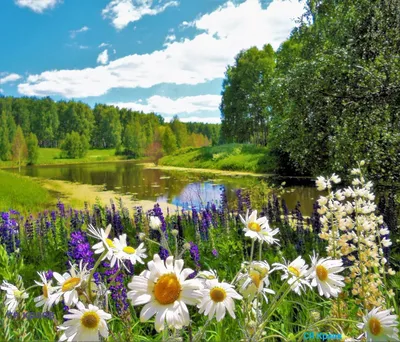 Красивые пейзажи нашей русской природы (часть 6) | Ксения Смагина | Дзен