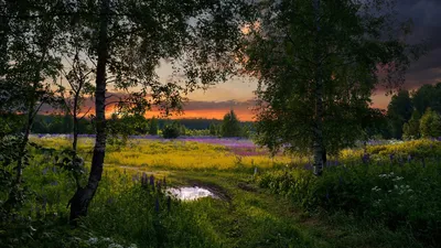 Стихи о природе: красивые стихотворения о родной природе