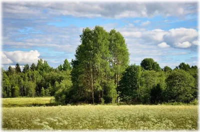 Красивые пейзажи русской природы (73 фото) »