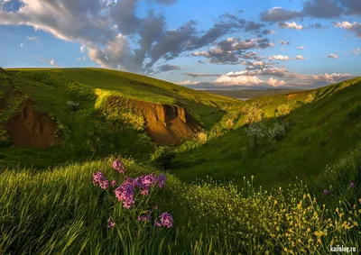 Красота русской природы (45 фото)