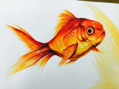 Рисунки рыбки для срисовки (81 фото)