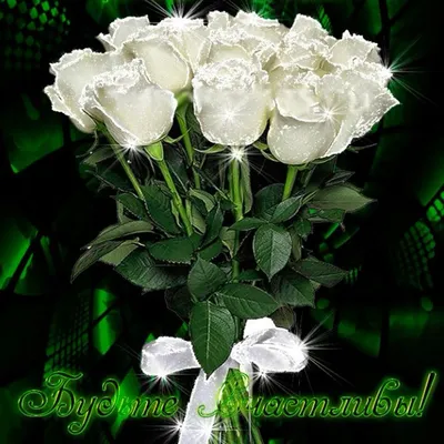 Обои на телефон, белые розы, эстетика роз, нежные розы, розы на тёмном  фоне, красивые цветы | White roses wallpaper, Flowery wallpaper, Rose  wallpaper