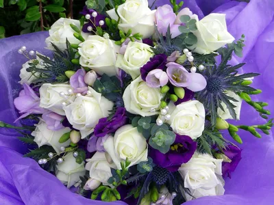 реалистичные и красивые белые розы настенные обои - TenStickers