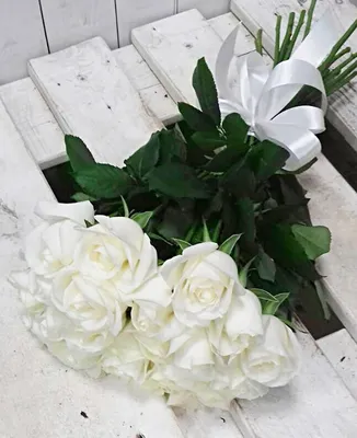 Белые розы Стоковые фотографии, картинки, все без лицензионных отчислений -  Envato Elements