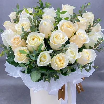 Картинки красивые цветы белые розы красивые (68 фото) » Картинки и статусы  про окружающий мир вокруг