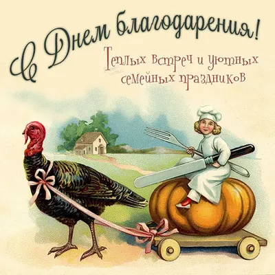 С Днем благодарения! Всех с главным праздником любителей и жителей США –  красивые открытки на 25 ноября