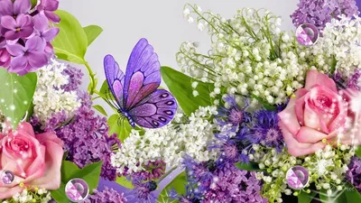 Красивые весенние цветы на фоне гранж, крупным планом :: Стоковая  фотография :: Pixel-Shot Studio