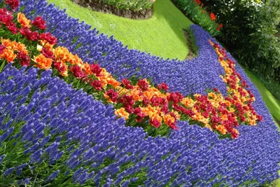 Букет весенних цветов - 145 фото