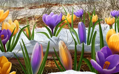 Картинки хорошего дня природа весна (64 фото) » Картинки и статусы про  окружающий мир вокруг