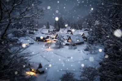 Красивый зимний снежный сад в парке Hd фотография, Лед и снег, дерево,  белый фон картинки и Фото для бесплатной загрузки