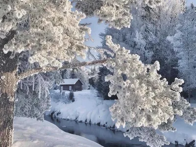 Самые красивые фото снежной Одессы из соцсетей | Новости Одессы