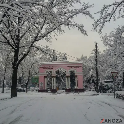 Зима. Галерея морозных фото - Искусство - 31 декабря - 43636875497 -  Медиаплатформа МирТесен