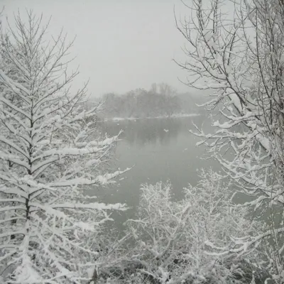 Снежная сказка: невероятно красивая зима в Японии » 24Warez.ru -  Эксклюзивные НОВИНКИ и РЕЛИЗЫ