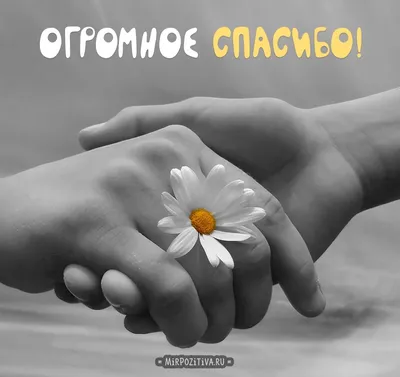 svetshch - 🤗Спасибо вам! , наши благодарные, клиенты! Мы вас ценим! |  Facebook