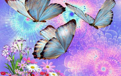 Луг с цветами и бабочками (82 фото) - 82 фото