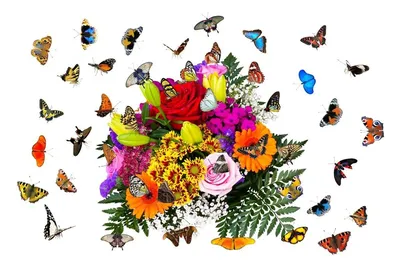 Бабочки цветочки (60 фото)
