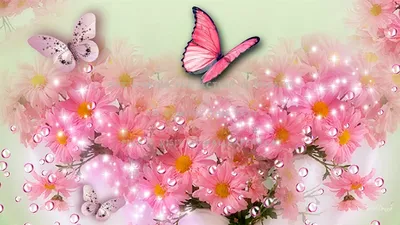 Бабочки - живые цветы - Моя газета | Моя газета