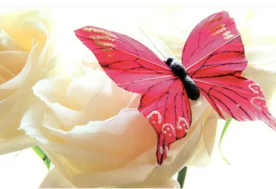 бабочки для букета вырезанные 60шт розовые синие голубые 3 цвета - купить с  доставкой по выгодным ценам в интернет-магазине OZON (1182730139)