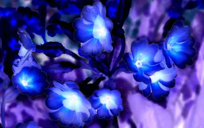 Красивые картинки в синем цвете фотографии