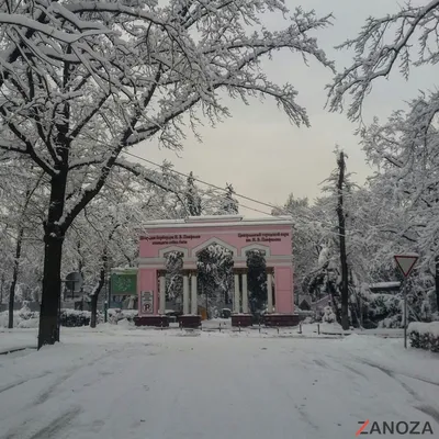 Любимый снежный Бишкек в конце зимы. Красивые фото