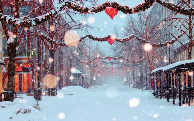 Куда съездить зимой в России: заснеженные красивые города и тёплые края,  горы и леса — Яндекс Путешествия