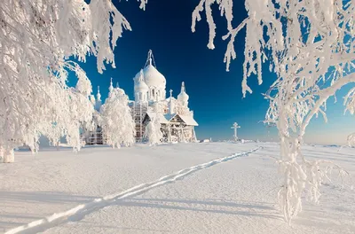Настоящая зима: самые красивые фотографии ростовского снегопада в объективе  161.RU - 7 декабря 2018 - 161.ru