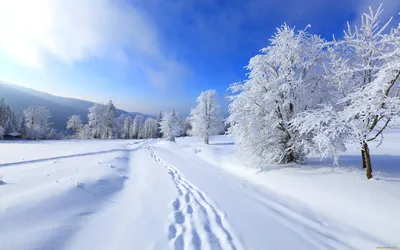 Зимние пейзажи. Обсуждение на LiveInternet - Российский Сервис  Онлайн-Дневников