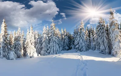 Красивые зимние пейзажи (100 обоев) » Обои для рабочего стола, красивые  картинки. Ежедневно