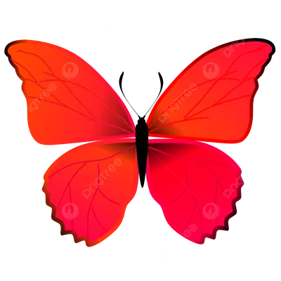 Рисунок бабочки красного цвета - 64 фото