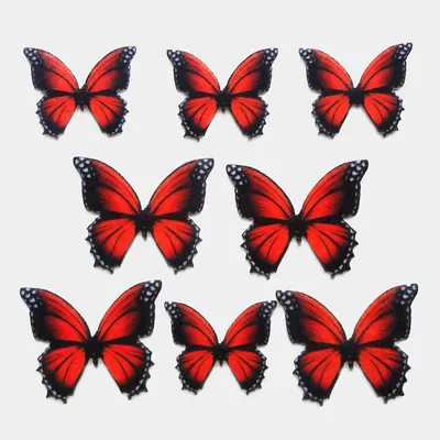 Декоративные бабочки из фетра для скрапбукинга купить по цене 200 ₽ в  интернет-магазине KazanExpress