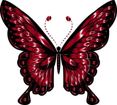 Бабочка Насекомое Красный - Бесплатная векторная графика на Pixabay -  Pixabay