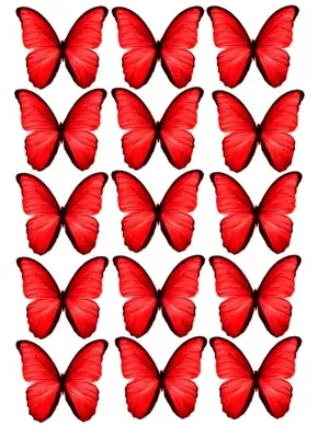 Вафельная картинка Бабочки красные на торт ВЕСЕЛЫЙ ПРЯНИК 164677072 купить  за 252 ₽ в интернет-магазине Wildberries