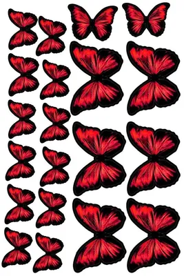 Бабочки на глянцевой фотобумаге для вырезания и создания букета из бабочек,  творческих композиций - купить с доставкой по выгодным ценам в  интернет-магазине OZON (1206379406)