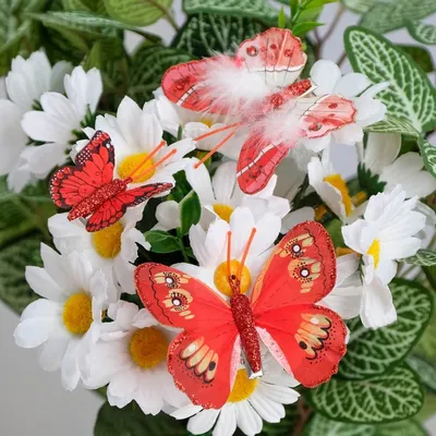 Красные бабочки, Кристина Романютенко – скачать книгу fb2, epub, pdf на  ЛитРес