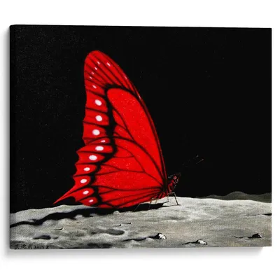 Патибум\" Конфетти фольгированное 14 г Бабочки красные CF5313--R купить за  49,00 ₽ в интернет-магазине Леонардо