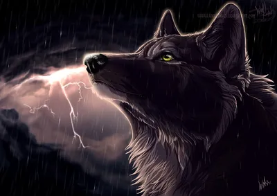 Антропоморфный городской крутой волк …» — создано в Шедевруме