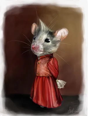 Интересные факты о крысах. | Фактория | Дзен