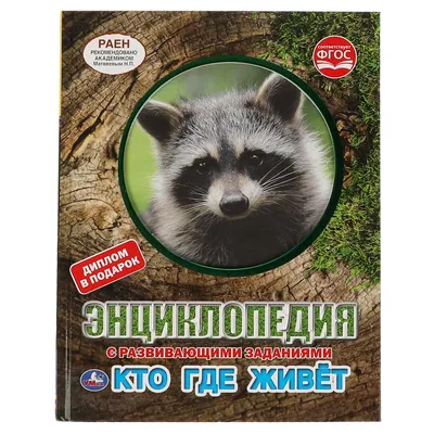 Алтайский заповедник: место где звери и люди живут на одной территории —  Алтайский биосферный заповедник